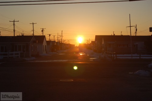 DSC_7478.jpg