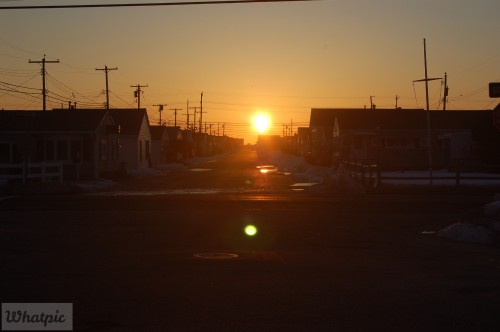 DSC_7480.jpg