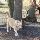 dsc_0099_28270311901_o