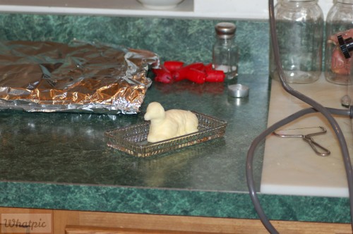 dsc_0144_27732416874_o.jpg