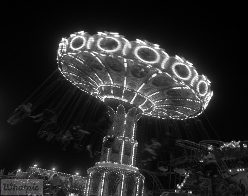 Whirl-d.without.color_pmo_2008.jpg