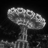 Whirl-d.without.color_pmo_2008