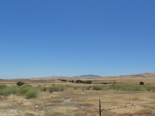 DSCN0025