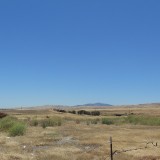 DSCN0025