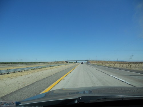 DSCN0037