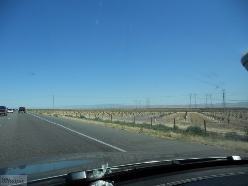 DSCN0040