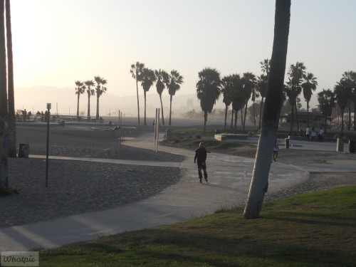 DSCN0079
