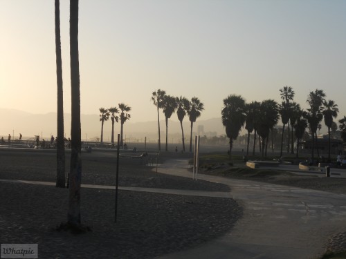DSCN0080