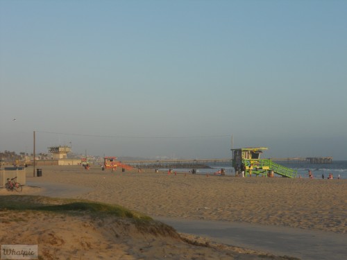 DSCN0085