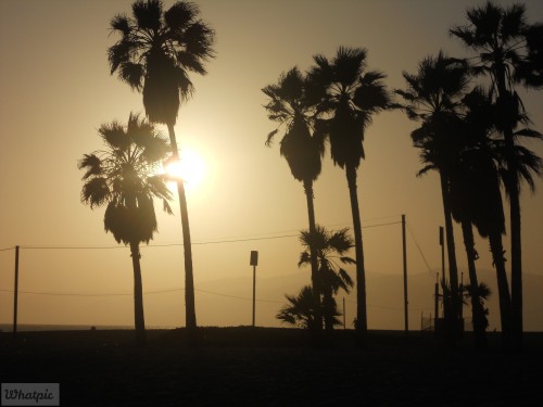 DSCN0088