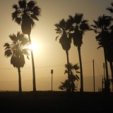 DSCN0088
