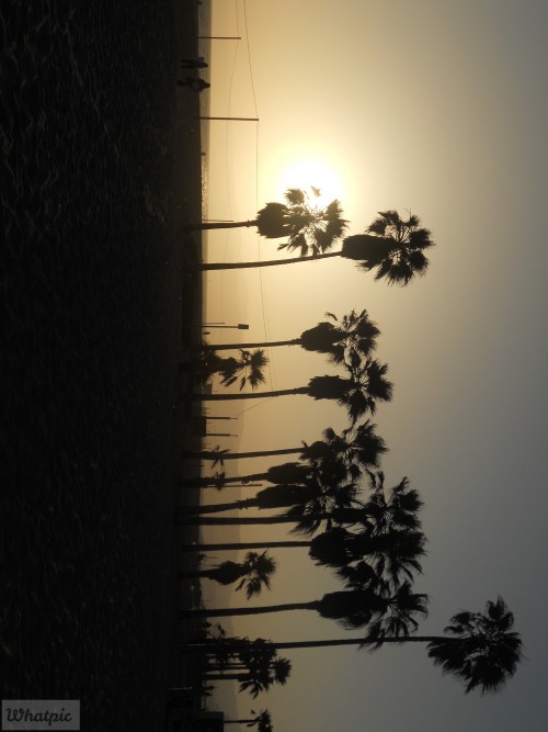 DSCN0093