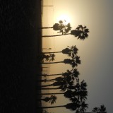 DSCN0093