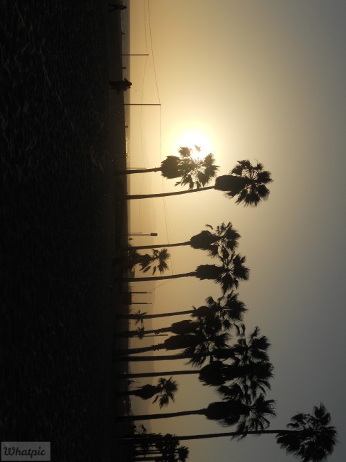 DSCN0094