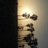 DSCN0094