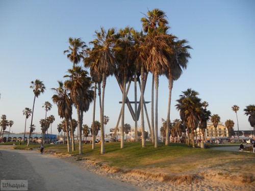 DSCN0096