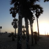 DSCN0109