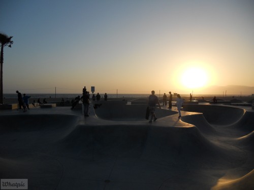 DSCN0142