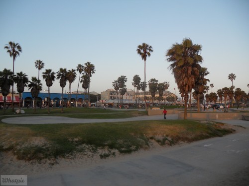 DSCN0178