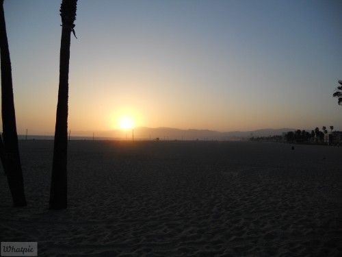 DSCN0179