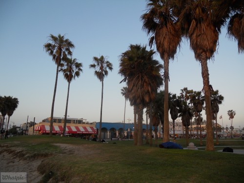 DSCN0184
