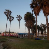 DSCN0184