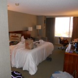 DSCN0193