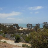 DSCN0206