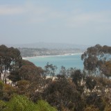 DSCN0208