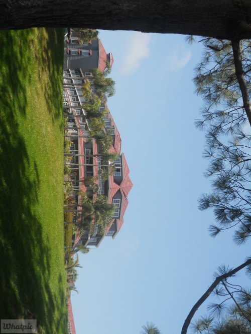 DSCN0209