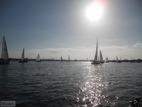 DSCN0220