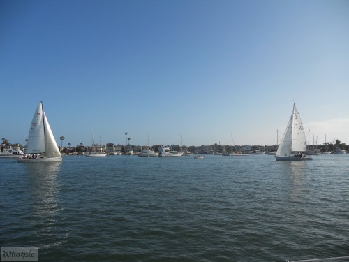 DSCN0223
