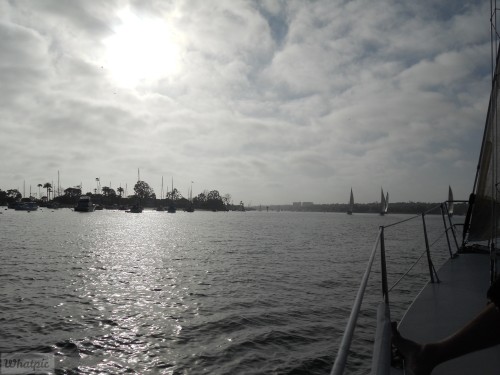 DSCN0233