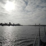 DSCN0233