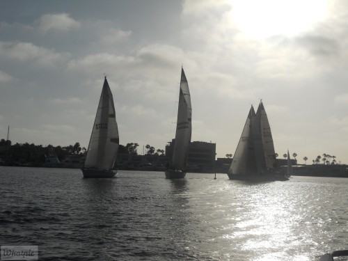DSCN0237