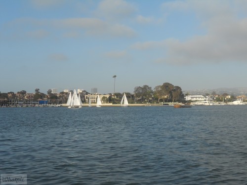 DSCN0242