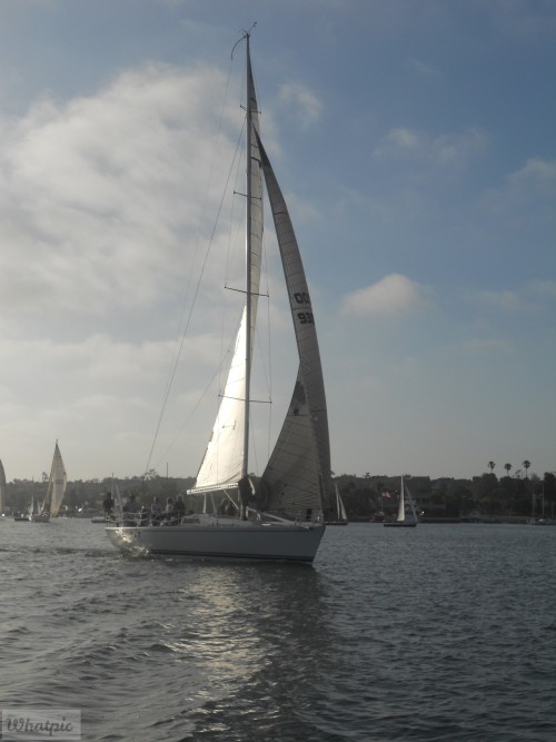 DSCN0246