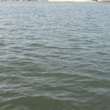 DSCN0247