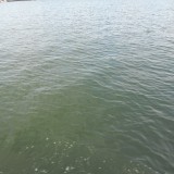 DSCN0250