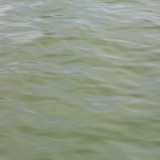 DSCN0256