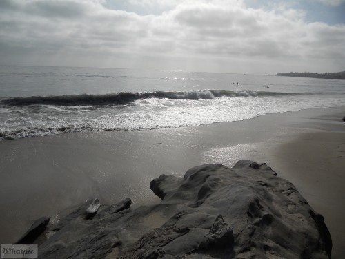 DSCN0294.jpg