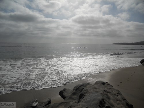DSCN0301.jpg