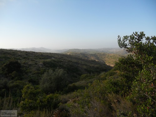 DSCN0323.jpg