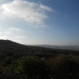 DSCN0329