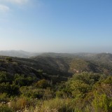 DSCN0333
