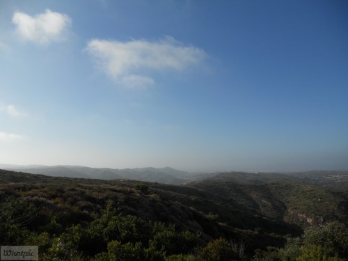 DSCN0334.jpg