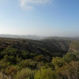 DSCN0335