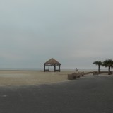 DSCN0364