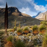 QueenoftheAndes_EN-US2037242483_1920x1080