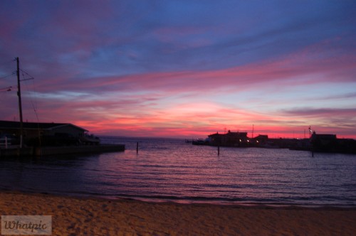 dsc_1467_28172246826_o.jpg
